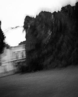 Schwarz-Weiß-Fotografie des Künstlers Cyprien Gaillard von teilweise angestrahlten, sich in der Bewegung befindenden Bäumen in der Dämmerung, ein Auszug aus der Arbeit mit dem Titel