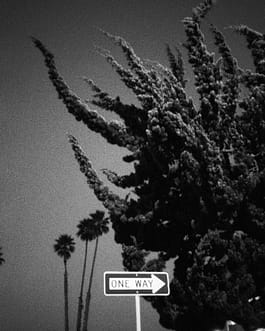 Schwarz-Weiß-Fotografie des Künstlers Cyprien Gaillard von teilweise angestrahlten, sich in der Bewegung befindenden Bäumen in der Dämmerung, ein Auszug aus der Arbeit mit dem Titel