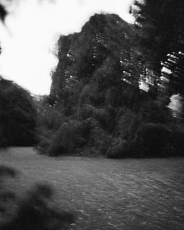 Schwarz-Weiß-Fotografie des Künstlers Cyprien Gaillard von teilweise angestrahlten, sich in der Bewegung befindenden Bäumen in der Dämmerung, ein Auszug aus der Arbeit mit dem Titel